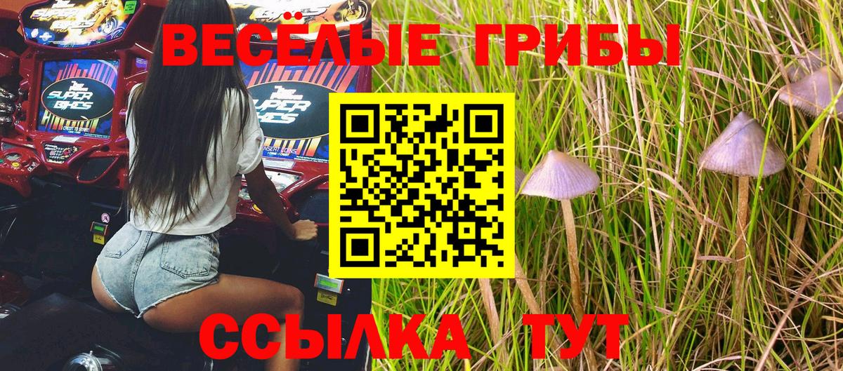 Усть-Джегута  Псилоцибиновые грибы мухоморы  Вход с VPN 