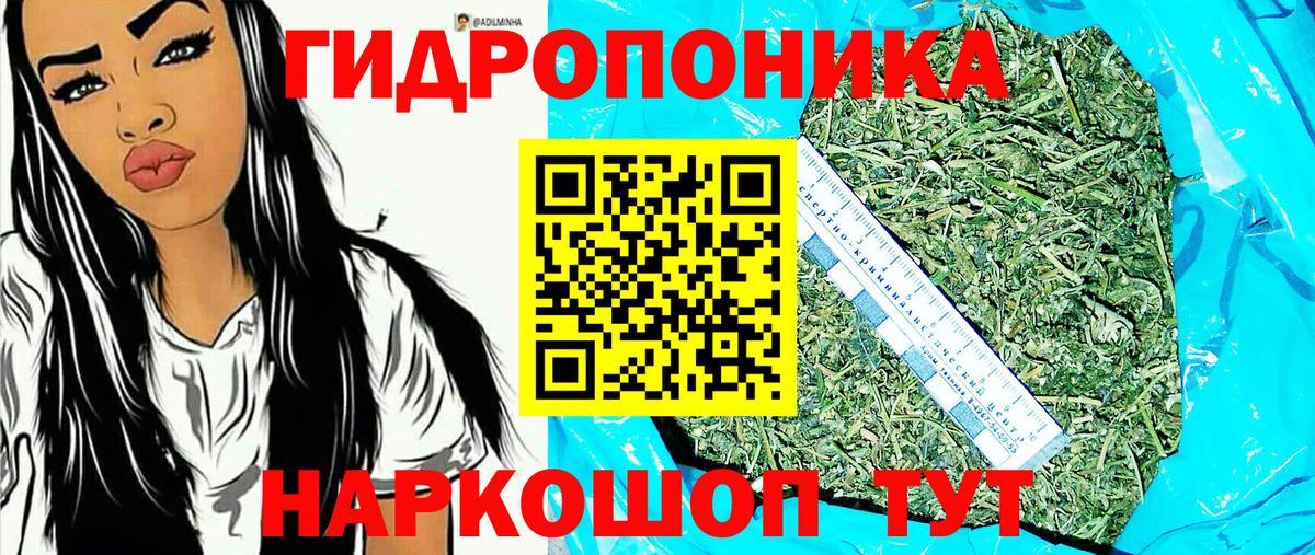 Усть-Джегута  Канабис MAZAR  Вход с VPN  Шишки марихуана конопля 